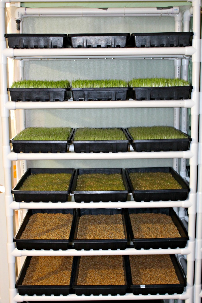 residential-fodder-rack.jpg